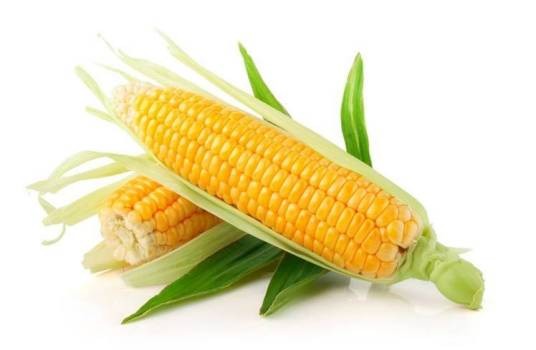 绥化鲜食玉米