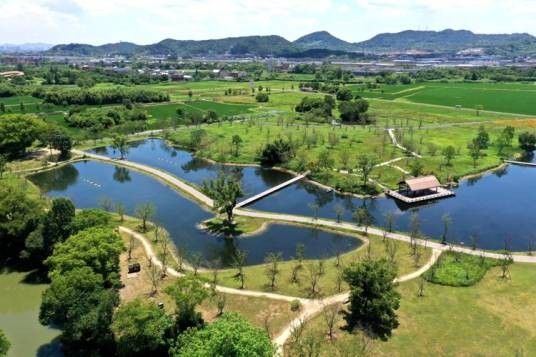 良渚古城遗址公园（浙江杭州的良渚古城遗址公园）