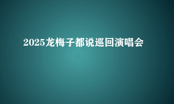 2025龙梅子都说巡回演唱会