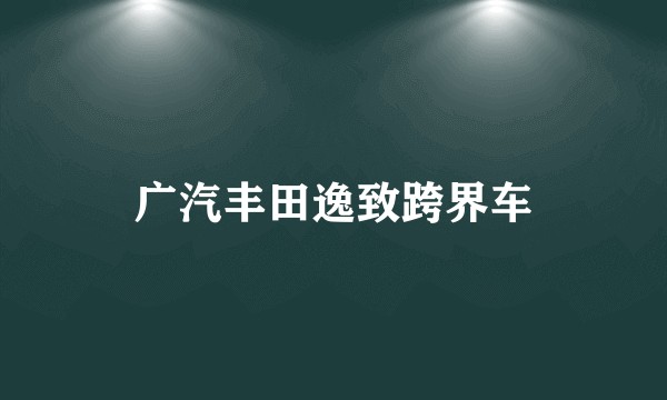 广汽丰田逸致跨界车