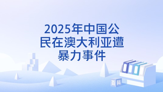 2025年中国公民在澳大利亚遭暴力事件