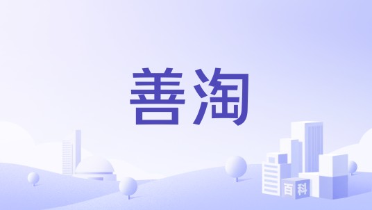 善淘