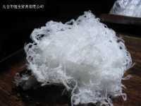 涤纶棉