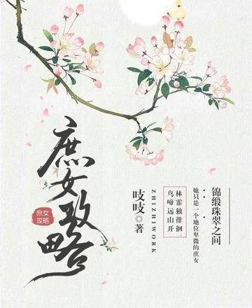 庶女攻略（锦心似玉原著）
