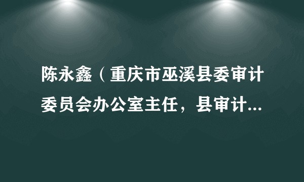 陈永鑫（重庆市巫溪县委审计委员会办公室主任，县审计局党组书记、局长）