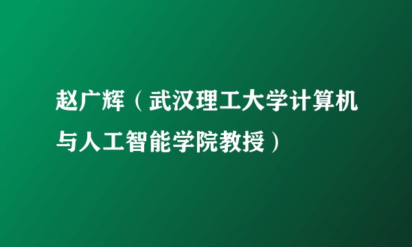 赵广辉（武汉理工大学计算机与人工智能学院教授）