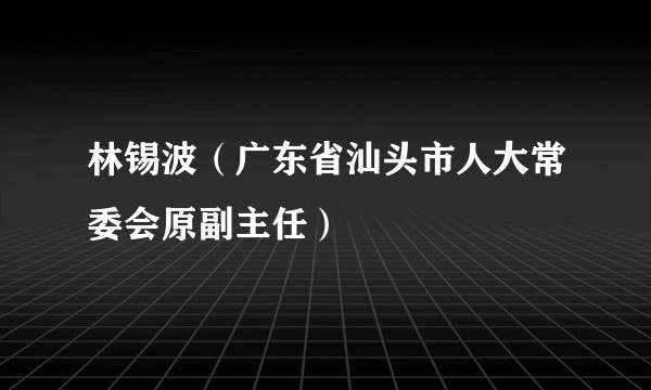 林锡波（广东省汕头市人大常委会原副主任）