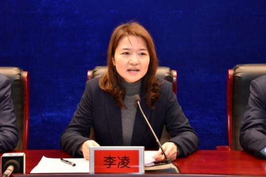 李凌（安徽省六安市人民政府副市长）