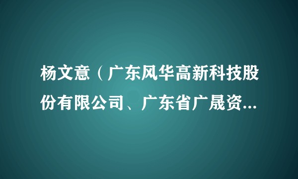 杨文意（广东风华高新科技股份有限公司、广东省广晟资本投资有限公司外部董事）