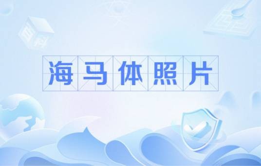 海马体照片