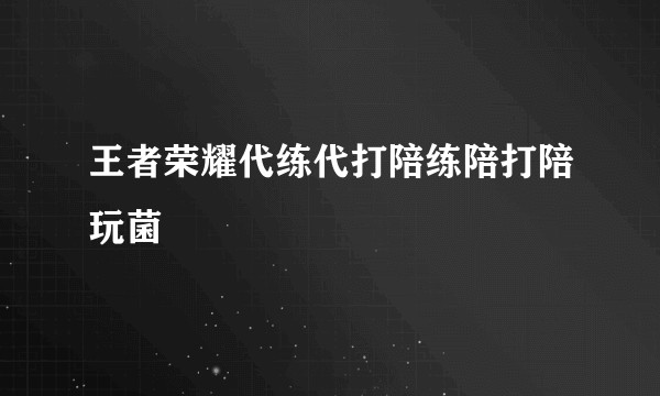 王者荣耀代练代打陪练陪打陪玩菌