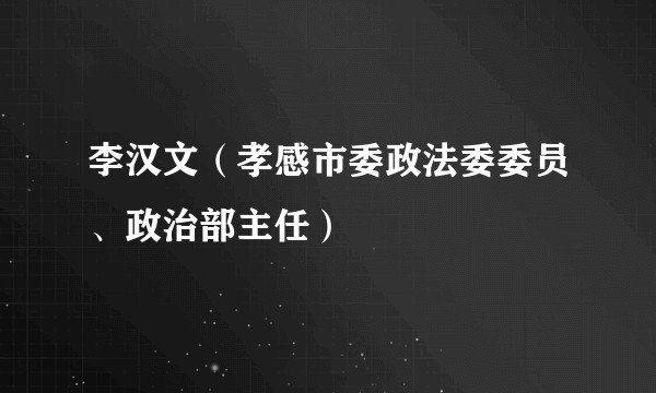 李汉文（孝感市委政法委委员、政治部主任）