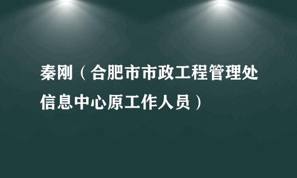 秦刚（合肥市市政工程管理处信息中心原工作人员）
