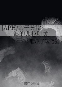 [APH/亲子分]流浪的弗拉明戈