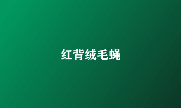 红背绒毛蝇