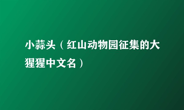 小蒜头（红山动物园征集的大猩猩中文名）