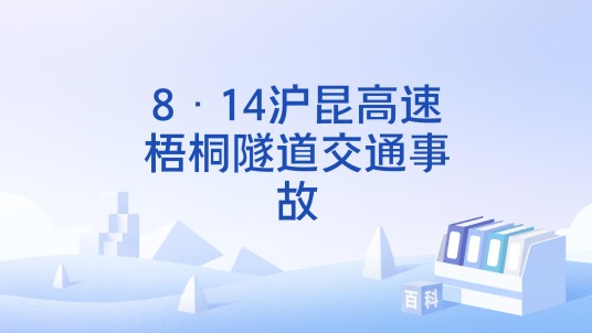 8·14沪昆高速梧桐隧道交通事故