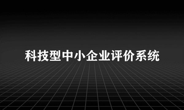 科技型中小企业评价系统