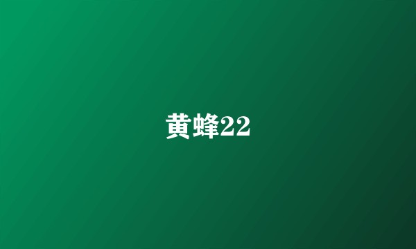 黄蜂22