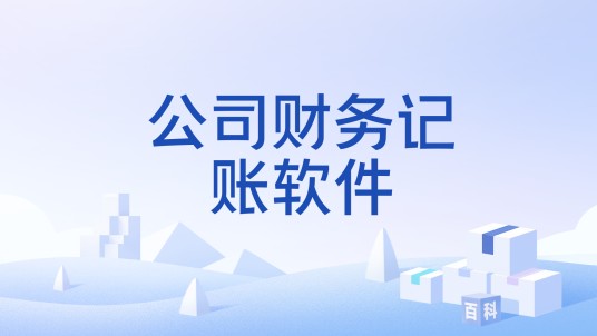 公司财务记账软件