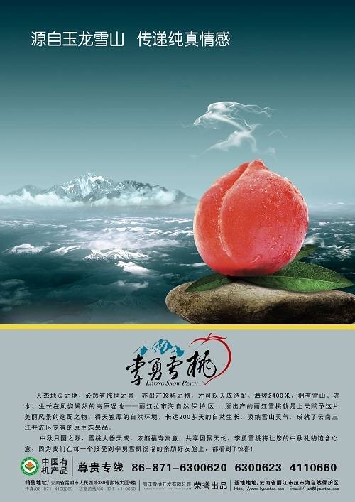 丽江雪桃开发有限公司