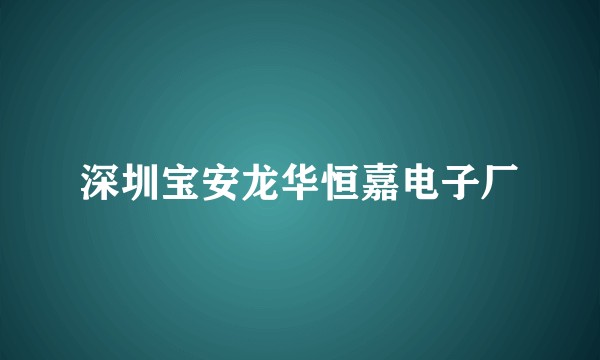 深圳宝安龙华恒嘉电子厂