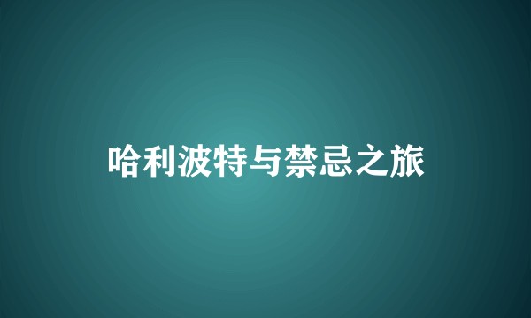 哈利波特与禁忌之旅
