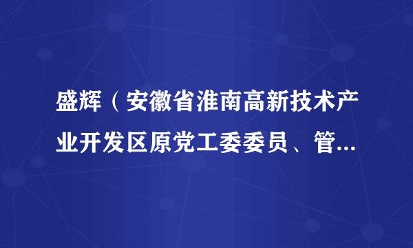 盛辉（安徽省淮南高新技术产业开发区原党工委委员、管委会副主任）