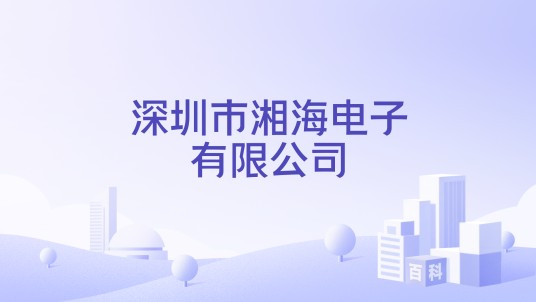 深圳市湘海电子有限公司