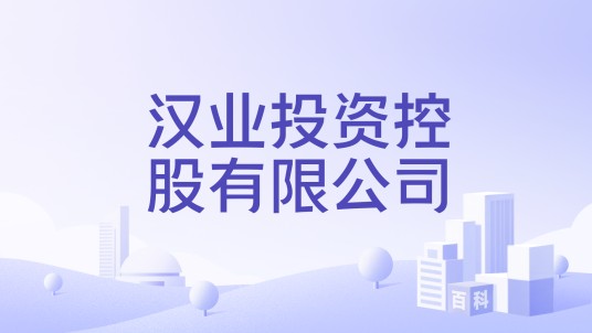 汉业投资控股有限公司