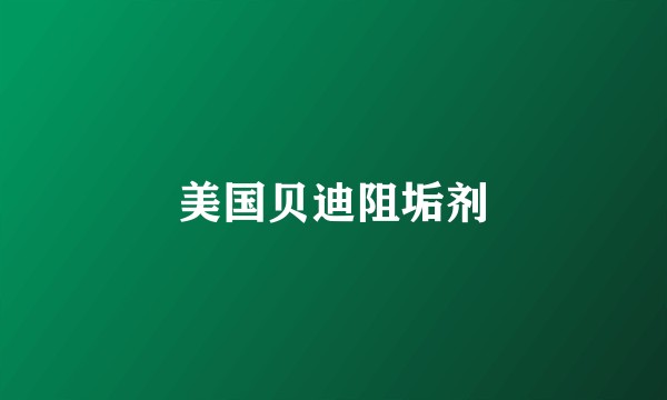 美国贝迪阻垢剂