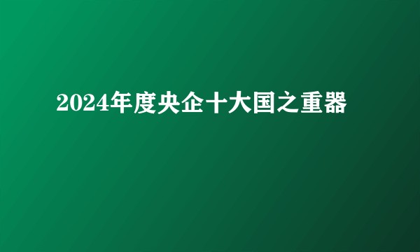 2024年度央企十大国之重器