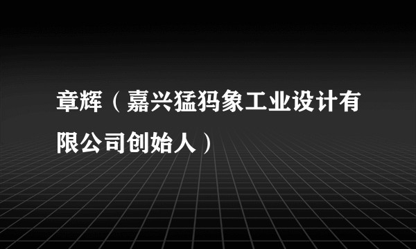 章辉（嘉兴猛犸象工业设计有限公司创始人）