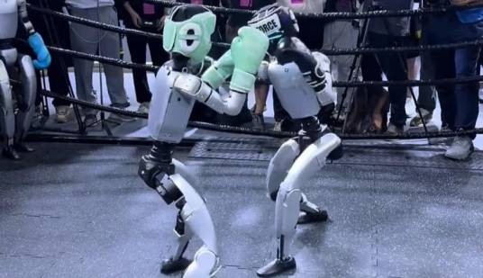 机器人拳击赛（2026年机器人拳击对抗比赛）