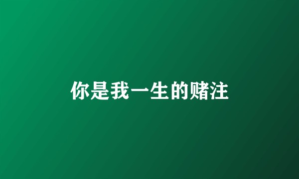你是我一生的赌注
