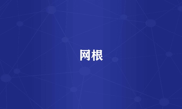 网根
