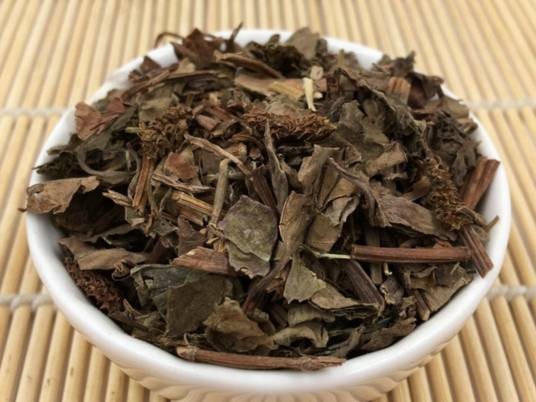 鱼腥草（中药）