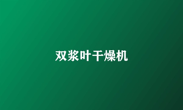 双浆叶干燥机