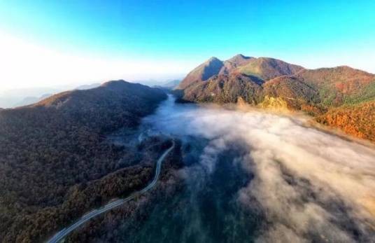 黄蛟山