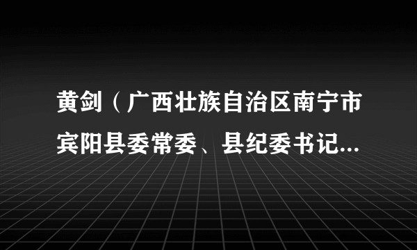 黄剑(广西壮族自治区南宁市宾阳县委常委、县纪委书记、县监委代主任)