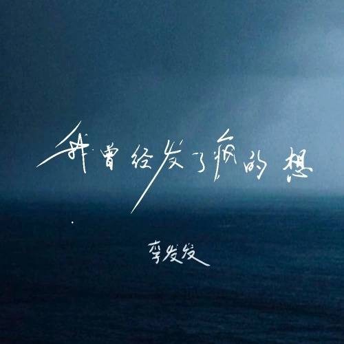 我曾经发了疯的想(李发发演唱的歌曲)