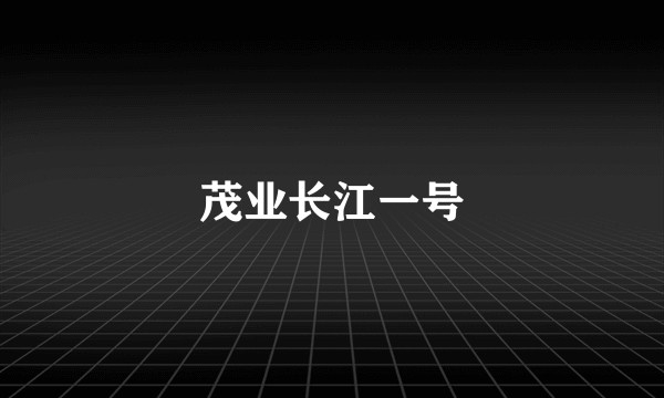 茂业长江一号