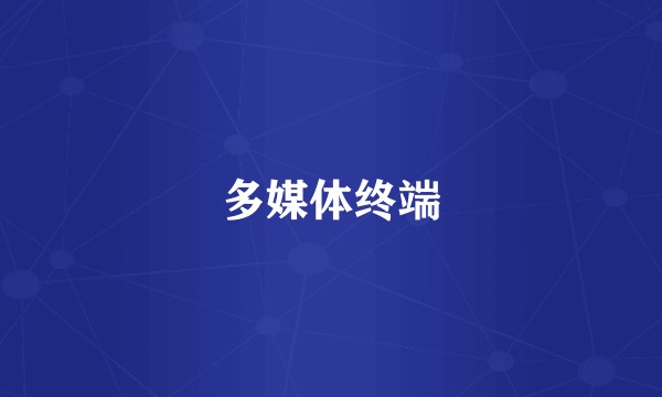 多媒体终端