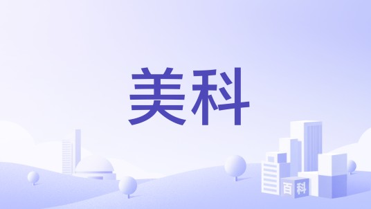 美科