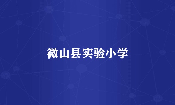 微山县实验小学
