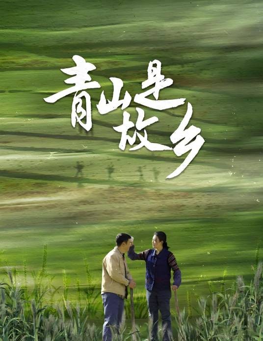 青山是故乡