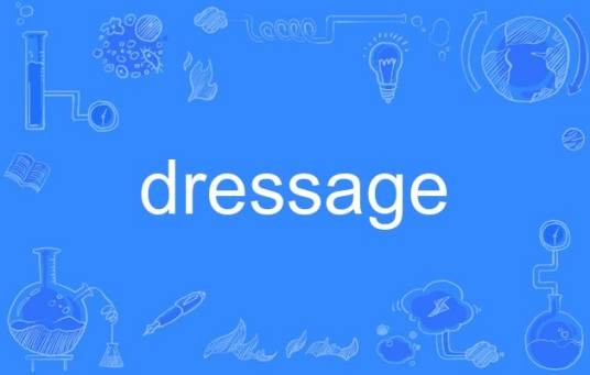 dressage