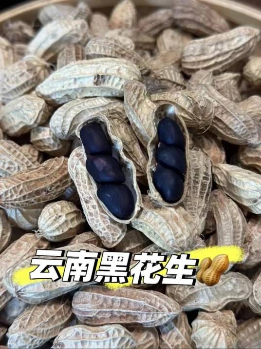 黑花生（云南宁洱特色农产品）