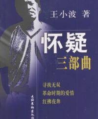 怀疑三部曲
