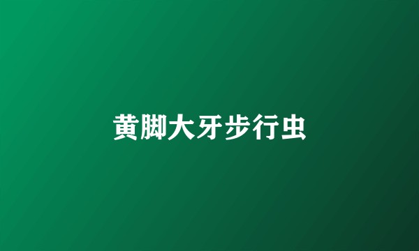 黄脚大牙步行虫